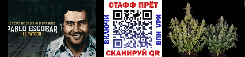 Виды наркотиков купить Горбатов Канабис  Мефедрон  Метамфетамин  Гашиш  Кокаин  А ПВП 