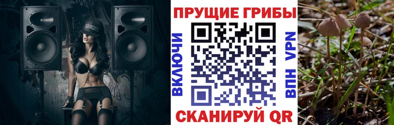 где найти Горбатов Псилоцибиновые грибы мухоморы